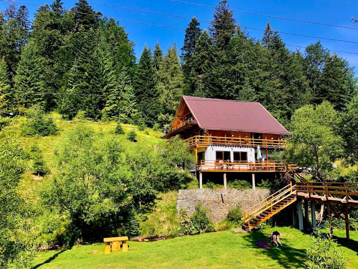 Cabana Cota 1000 Arieşeni Buitenkant foto