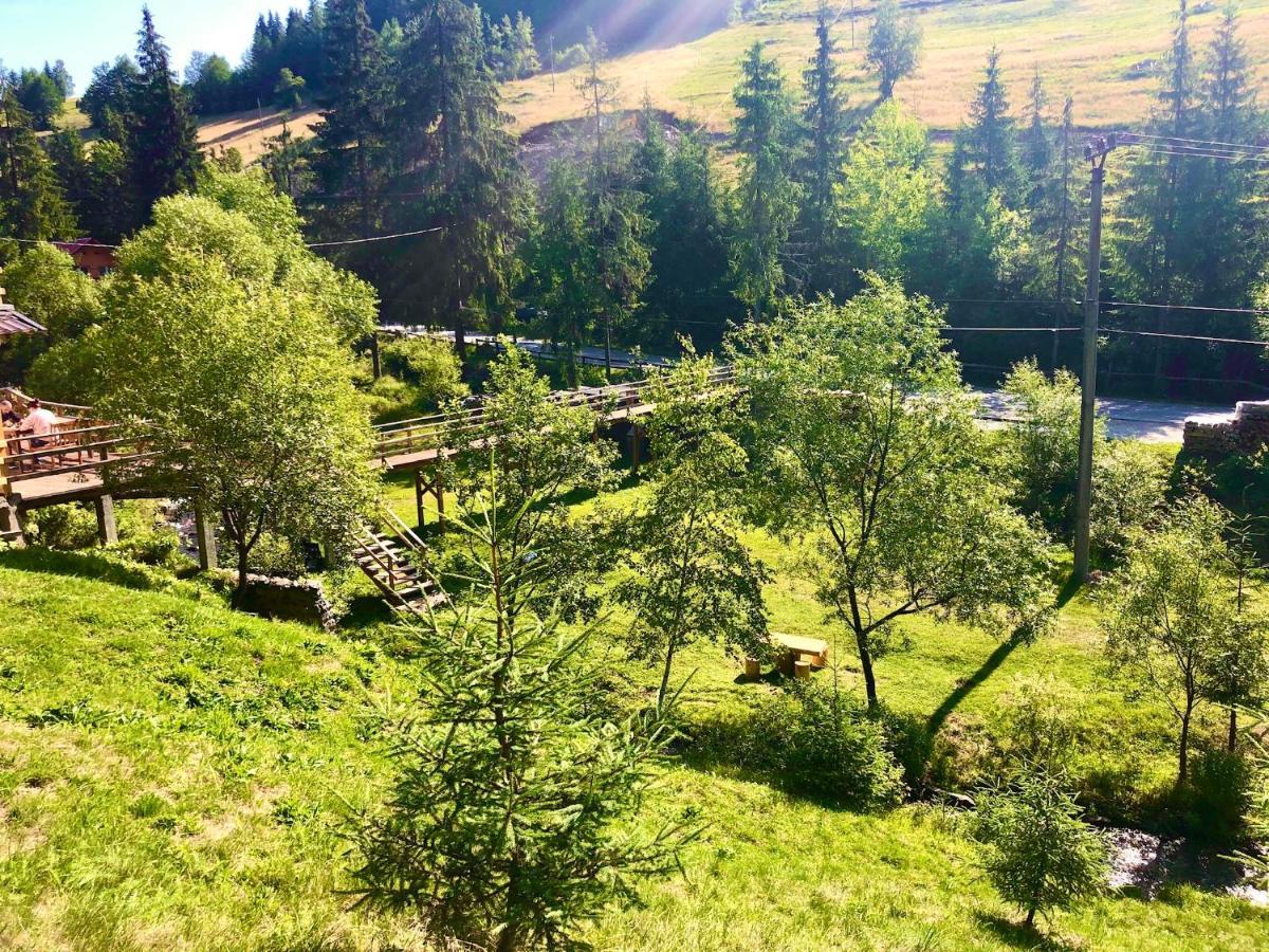 Cabana Cota 1000 Arieşeni Buitenkant foto