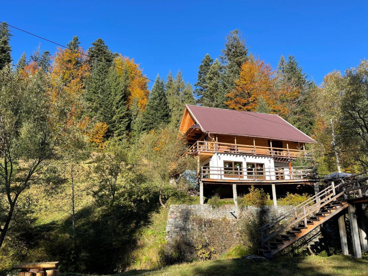Cabana Cota 1000 Arieşeni Buitenkant foto